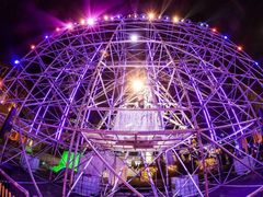 -锦江乐园舞狸花花游园会(夜场专享)
