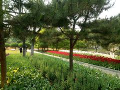 -石家庄市植物园