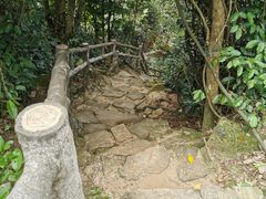 -鼎湖山风景区