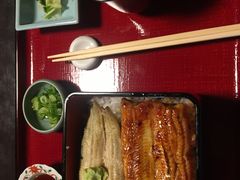 -料亭菊水楼