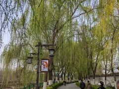 -西安汉城湖景区