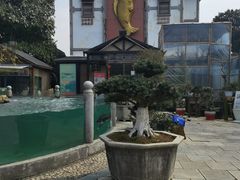 -天怡·鱼工厂(临江店)