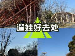 -澹台湖公园