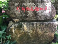 -广州市流溪河国家森林公园