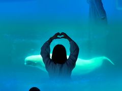 -秦皇岛乐岛海洋王国