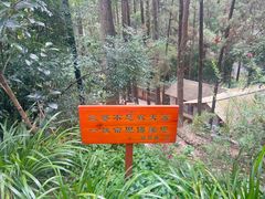 -寂照庵