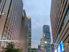 -云海肴·汽锅鸡·云南菜(高德置地店)