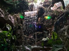 -多彩贵州城极地海洋世界