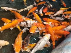 -泉州海丝野生动物世界