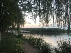 -昆山城市生态森林公园