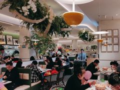 -Aqua Oasis 水天堂(太湖中心mall店)