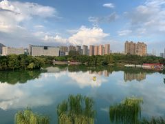 -青枫公园
