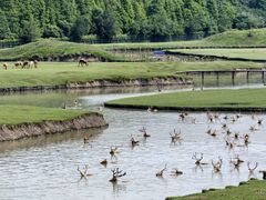 -溱湖国家湿地公园