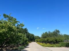 -永定河休闲森林公园