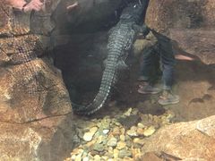 -波塞冬旅游度假区