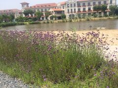 -歌斐颂巧克力小镇