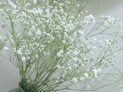 -梅花境(万科店)