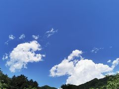 -王顺山国家森林公园