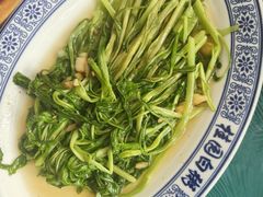 -桂园白粥·潮汕老味道