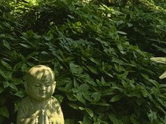 -韬光茶庵