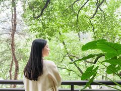 -巴倒烫陆派火锅山庄(南山总店)