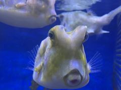 -多彩贵州城极地海洋世界