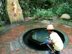 -大屏嶂森林公园
