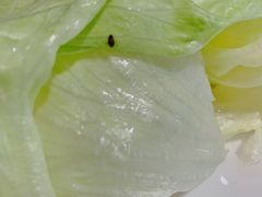 -青瓷火锅料理(西单大悦城店)