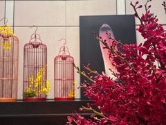 -成都尼依格罗酒店
