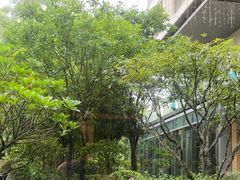-南宁荔园维景国际酒店·荔园中餐厅