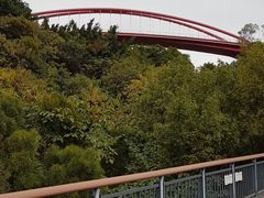 -金鸡山公园