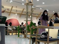 大堂-喵园·猫主题咖啡厅·撸猫·猫咖(国贸店)