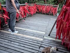 -帽儿山国家森林公园