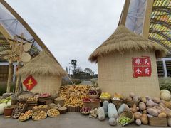 -中国天府农业博览园