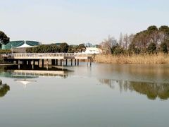 -新江湾城公园
