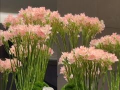 -上海波特曼丽思卡尔顿酒店