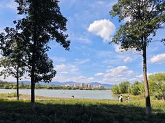 -永定河休闲森林公园