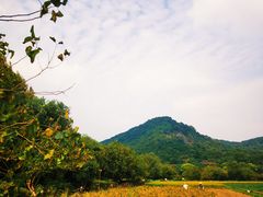 -八卦田遗址公园