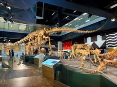 -墨尔本博物馆(Melbourne Museum)