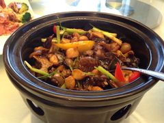 甲鱼-宝燕壹号(徐汇店)
