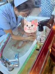 -北京享悦时光月子会所