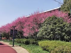 -杭州城北体育公园