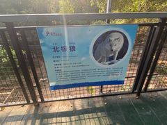 -深圳野生动物园