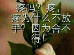 珍妮曲奇&nbsp;Jenny&nbsp;Bakery(尖沙咀店)-珍妮曲奇聪明小熊(尖沙咀店)