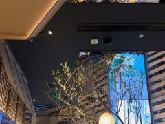 -桂满陇·海市蜃楼·黑金(国金店)