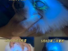 -佳佳动物医院