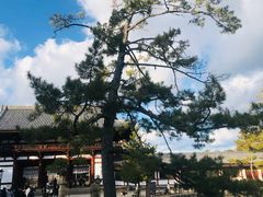 -奈良公园