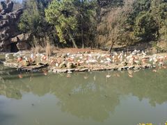 -宁波野生动物园