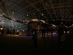 -世界恐龙谷景区