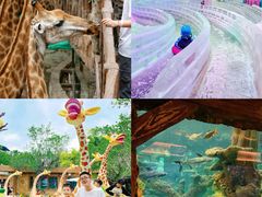 -长鹿旅游休博园
